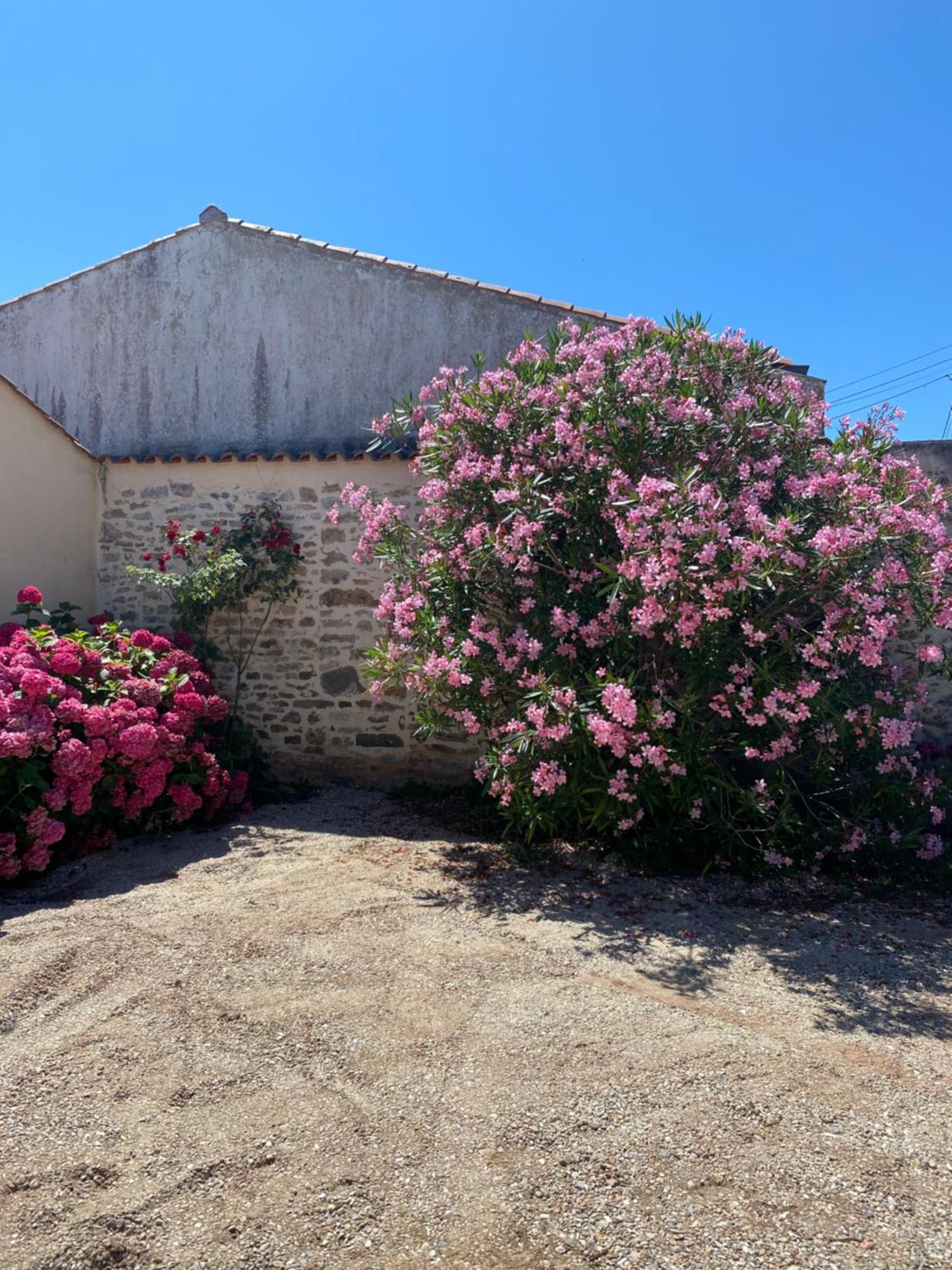 Cote&Marais Villa Jard-sur-Mer Exterior foto